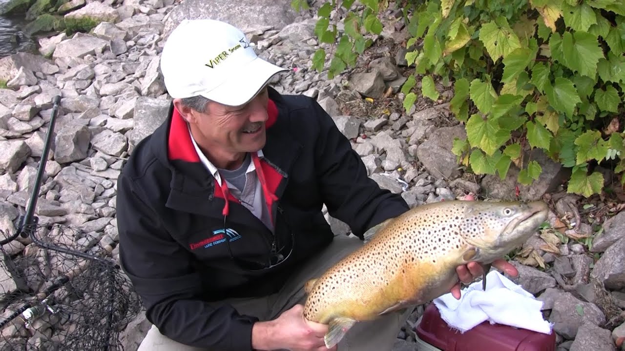 How To Catch Rainbow Trout And Brown Trout From Shore - Tips, Tricks ...