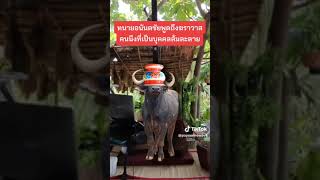 #คนตื่นธรรม #ล้มละลาย#ฆราวาสธรรม #คนตื่นยัง #ทนายอนันตชัย #มหาหมี #ข่าวด่วน #ข่าวล่าสุด#โหนกระแส