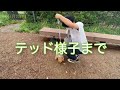 【生後4ヶ月】初めての散歩に大興奮！みんなに可愛いと言われて喜ぶ犬