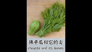 chayote and its leaves 佛手瓜新吃法！它的叶子也能吃？#shorts