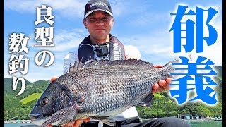 楽しいちぬ釣り 开心钓黑鲷 #3 新緑の黒鯛かかり釣り 三重 引本浦 Extreme Bream Fishing