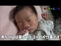 【1日ルーティン👶】新生児のミルク・オムツ・ねんね事情を解説！一日の大半寝てるけど休む暇なし！？