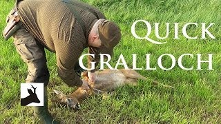 Quick gralloch - deer gutting / gralloching / field dressing