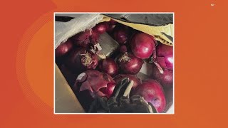 184 pounds of cocaine found inside boxes of onions during Hancock County traffic stop