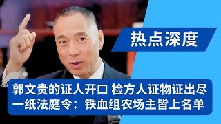 现场：郭文贵的证人开始表演！检方人证物证出尽；法官一纸法庭令：铁血组农场主共谋作案成立！过去数周庭审已有几十名证人实质性证据｜热点深度（20240703）