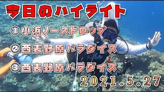 2021年5月27日のダイビングハイライト【石垣島】飛んで飛んで飛んで〜〜