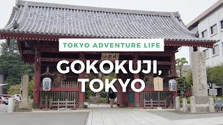 Walking Around Tokyo (Gokokuji) 護国寺