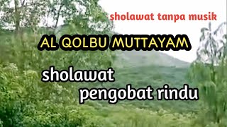 Al QOLBU MUTTAYAM ⁉️ Sholawat tanpa musik merdu dengan iringan suara alam