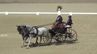 László PENZER (HUN) - CAI***, H2, Szilvásvárad (Hungary), dressage, 13 July 2023