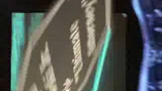 Untamed 21 Trailer