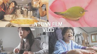 NYEINN FILM #11, VLOG•11월과 12월 일상:시험, 야생동물 구조(?), 4학년 종강받고 계절학기 개강(...), 할머니랑 네일하기