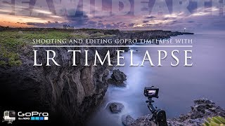 LR Timelapse for Dynamic GoPro Sequences