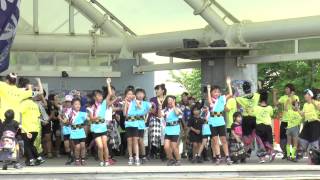 MY matsuri  竜KOI舞祭　2015　～総踊り / RYU- DANCE