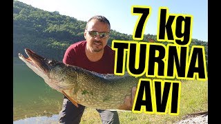 7 Kilo Canlı Balık ile TURNA Avı Armağan Barajı - Kırklareli