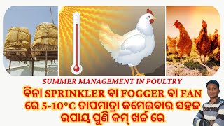 ବିନା Sprinkler /Fan ରେ 5-10 °C ତାପମାତ୍ରା କମେଇବାର ସହଜ ଉପାୟ ପୁଣି କମ୍ ଖର୍ଚ୍ଚ ରେ। Summer Management 🔥🔥🔥