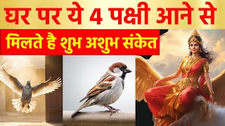 घर पर ये 4 पक्षी आने से मिलते है शुभ अशुभ संकेत आती है साक्षात लक्ष्मी | Vastu tips