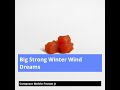 big strong winter wind dreams