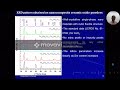 nanocrystalline electrolyte materials for low temperature solid oxide fuel cells nanotechnology