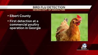 Bird flu detected in another area county: 45,000 chickens affected, poultry sales put on hold