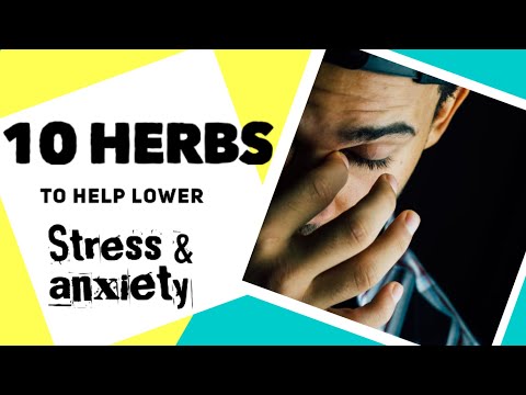 10 Herbs to help lower your STRESS and ANXIETY levels 10 Herbs to help lower your STRESS and ANXIETY levels