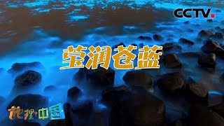 美哭！福建平潭出现“蓝眼泪”奇观 那么它是怎么形成的呢？大地的色彩·莹润苍蓝 20210304 |《地理·中国》CCTV科教