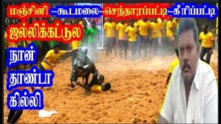 2018 மஞ்சினி கீரிப்பட்டி செந்தாரப்பட்டி கூடமலை ஜல்லிக்கட்டுல நான் தாண்ட கில்லி