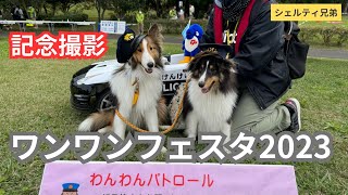 【シェルティ兄弟】北総花の丘公園のワンワンフェスタでいっぱいワンちゃんに会いました。