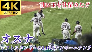 【良いところで打つよなぁ】完璧な一振り オスナ レフトへの14号3ランホームラン‼︎ 東京ヤクルトスワローズ 中日ドラゴンズ 2024.8/14