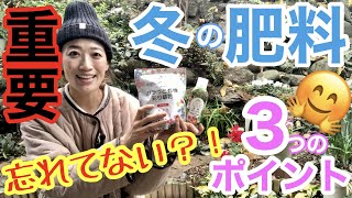 【冬の肥料】花の勝敗は冬で決まる❗️❓/ 〇〇肥料と〇〇肥料を、〇〇に与える🤗/ 厳しい寒さの中でも栄養補給できる、ワンランク上の肥料の与え方✨/ これって与える？の疑問にも答えます【ガーデニング】