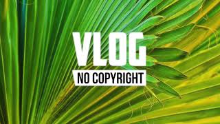 LiQWYD - Birthday (Vlog No Copyright Music)