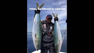 ロンリー侍ドクター :ぶり(鰤) 1本勝負:完全フカセ釣り Fishing big Yellowtail in Japan Sea. Lonely Samurai Angler