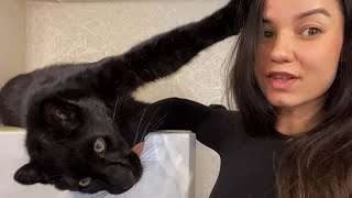 (Eng Subs) The home life of Luna the Leopard π π