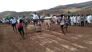 Viswanadha Reddy,ThippiReddyPalli,Bulls Won 1st prize in V.Kothapalli(v),Kadapa (16-06-2017).