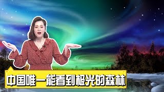 中国大陆唯一能看到“极光”的森林, 小兴安岭秘密圣地 森林寻北之旅【我们退休啦】