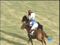 競馬　アンライバルド　若駒ステークス