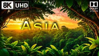 ASIA 8K Video Ultra HD 60FPS Dolby Vision | ASIA 8K HDR | 8K TV