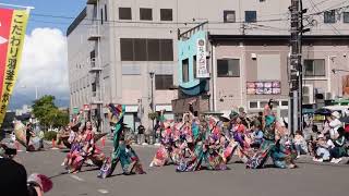 『遖・札幌市立大学〜真花〜』ソーラン祭り第１９回道南大会