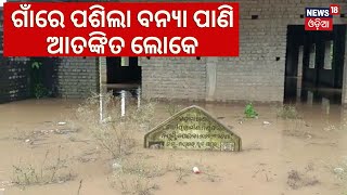 Nayagarh | ଗାଁରେ ପଶିଲା Mahanadi ପାଣି, ଲୋକେ ଆତଙ୍କିତ | Odisha Flood News | Odisha Rain | Odia News