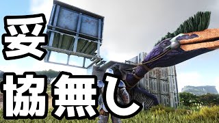 Ark ケツプラいろいろ 便利系プラットフォーム 80 Ark Survival Evolved