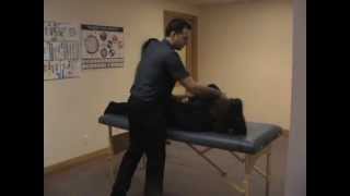 Touch For Health Level 4, 42 Muscle Testing Demonstration Part 1