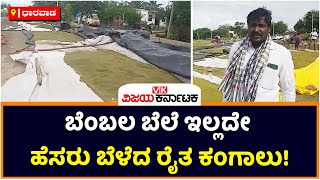 No Proper Price For Hesaru Crop In Dharwad : Farmer In Sad Face | Vijay Karnataka