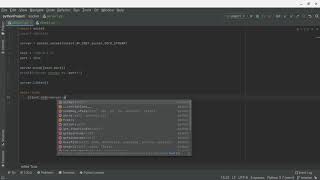 python socket tutorial