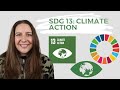 SDG 13 Climate Action - UN Sustainable Development Goals - DEEP DIVE