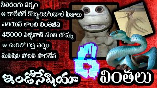 ఇండోనేషియాలో 6 వింతలు | unbelievable mysteries | unknown facts in telugu |  indonasia wonders | vtv