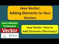 Java Vector: Adding Elements to Your Vectors | Java Collection Framework