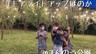 『コキアライトアップほのか』香川県まんのう公園