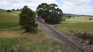 Pacific National 7MP7 NR109 NR113 NR22