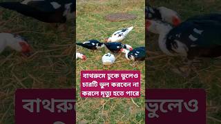 বাথরুমে ঢুকে ভুলেও এই চারটি ভুল করবেন না  #shortvideo #ইসলামিক_ভিডিও #shorts #waz