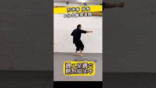 形意拳 崩拳【健棋道館】#martialarts #功夫 #武術 #kungfu #sparring #八卦掌 #形意拳 #fight #boxing #kickboxing