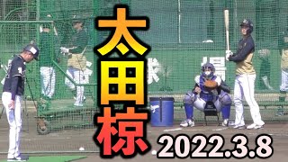 太田椋　打撃練習　打ち方　フォーム【オリックス 2022年 プロ野球】